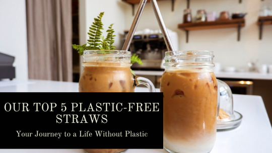A Single Straw For Life – Our Top 5 Favourites